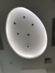 -agge蛋白医美