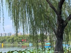 -武汉园博园(武汉自然博物馆)