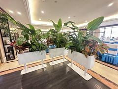 -万柳高尔夫俱乐部