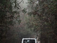 -武陵山森林公园