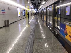 -大龙山(地铁站)