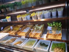 -串一火锅(赛格国际购物中心店)
