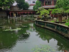 -碧江金楼