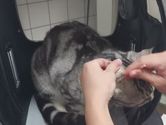 -瑞派康怡24h宠物医院·犬猫医疗中心·微创绝育(瑞景分院)