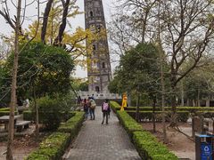 -上海佘山国家森林公园天马山园