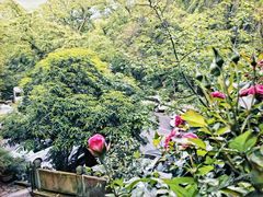 -龙井壹号·茶缘山景宴(龙井村店)