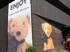 -济州岛泰迪熊博物馆