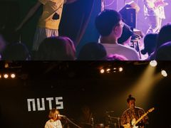 -坚果NUTS