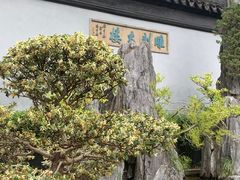 -东山雕花楼
