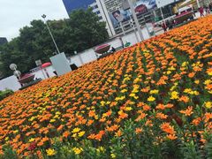 -绵阳人民公园(涪城区)
