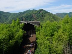 -大唐贡茶院