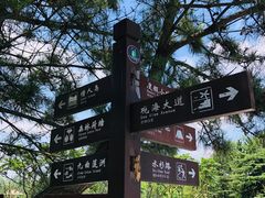 -日照海滨国家森林公园