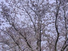 -幕燕滨江·长江观音景区