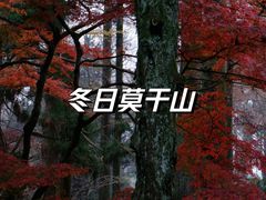 -莫干山风景区
