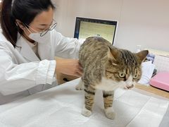 -邢大夫动物医院