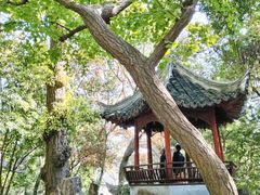-秋霞圃