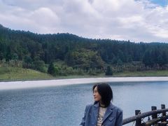-武陵山森林公园