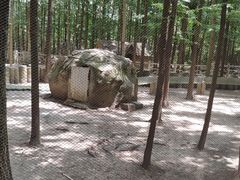 -昆山城市生态森林公园