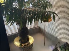 -涟LIAN·泰式按摩·MASSAGE·SPA(华强北店)