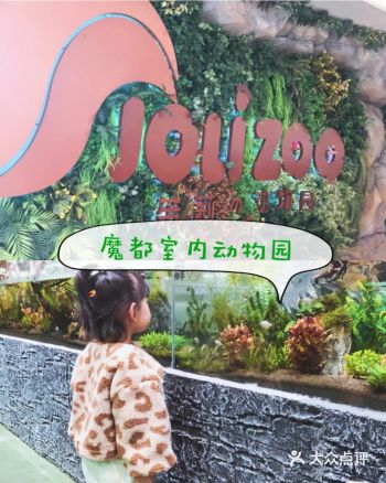 魔都室内动物园，周末溜娃好去处
