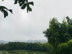 -乌石村