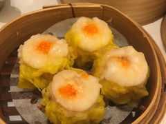 -美心皇宫(沙田大会堂店)