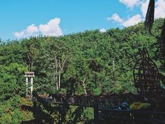 -西双版纳原始森林公园