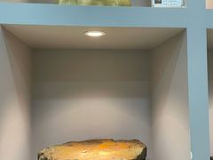 -宝安区结缘奇石博物馆