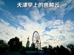 -天津水上公园