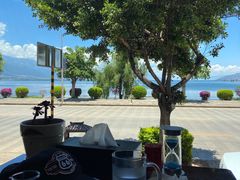 -野菌皇海景野生菌火锅(滨海大道店)
