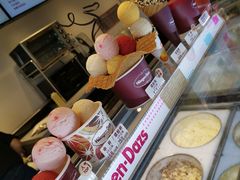 -哈根达斯(深圳海岸城店)