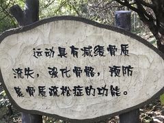 -香山公园