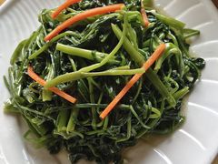 -兴隆槟榔园休闲农庄