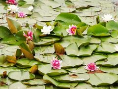 -长春市南湖公园