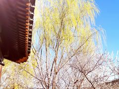 -三里河公园