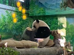 -灵玲国际马戏城
