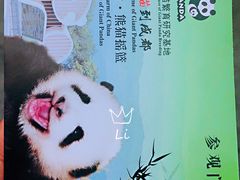门票-成都大熊猫繁育研究基地