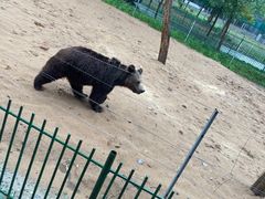 -秦皇岛野生动物园