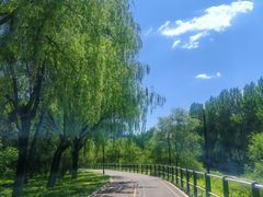 -黛秀湖公园