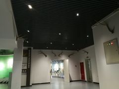 -北京麋鹿生态实验中心