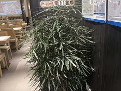 -鑫花溪牛肉米粉(凤凰街创始总店)
