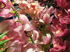 -BEAST野兽派(上海浦东嘉里城店)