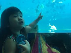 -瑞德姆美人鱼海底演艺主题餐厅(亚龙湾店)