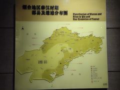 -烟台市博物馆