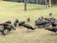 -南京金牛湖风景区
