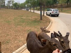 -南京金牛湖风景区