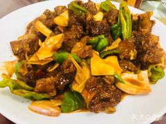 -星月美食城(红格线店)