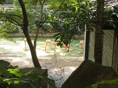 -杭州动物园
