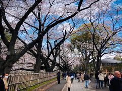-名古屋城