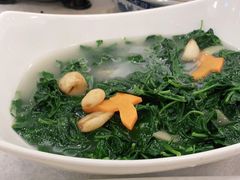 上汤枸杞叶-畔山酒店中餐厅